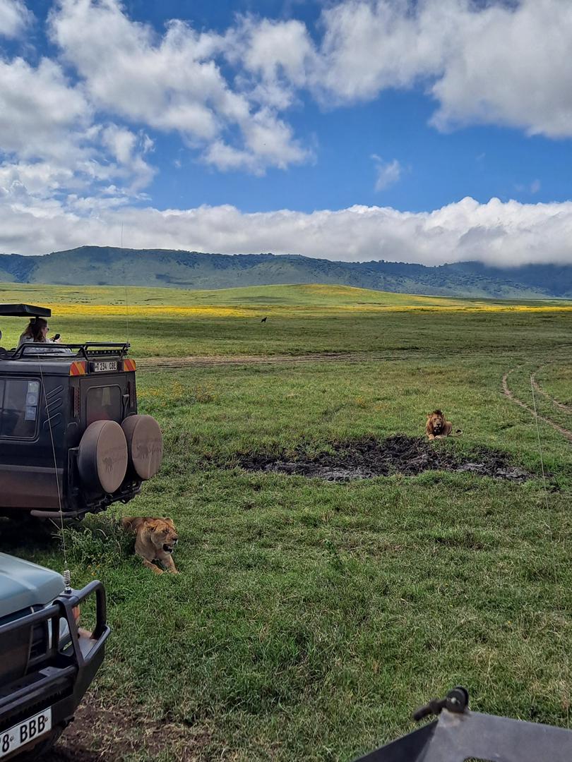 2 Jours 1 Nuit — Tarangire & Ngorongoro 2
